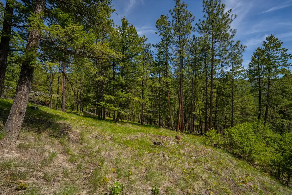 689 Springhill Road Kila MT 59920