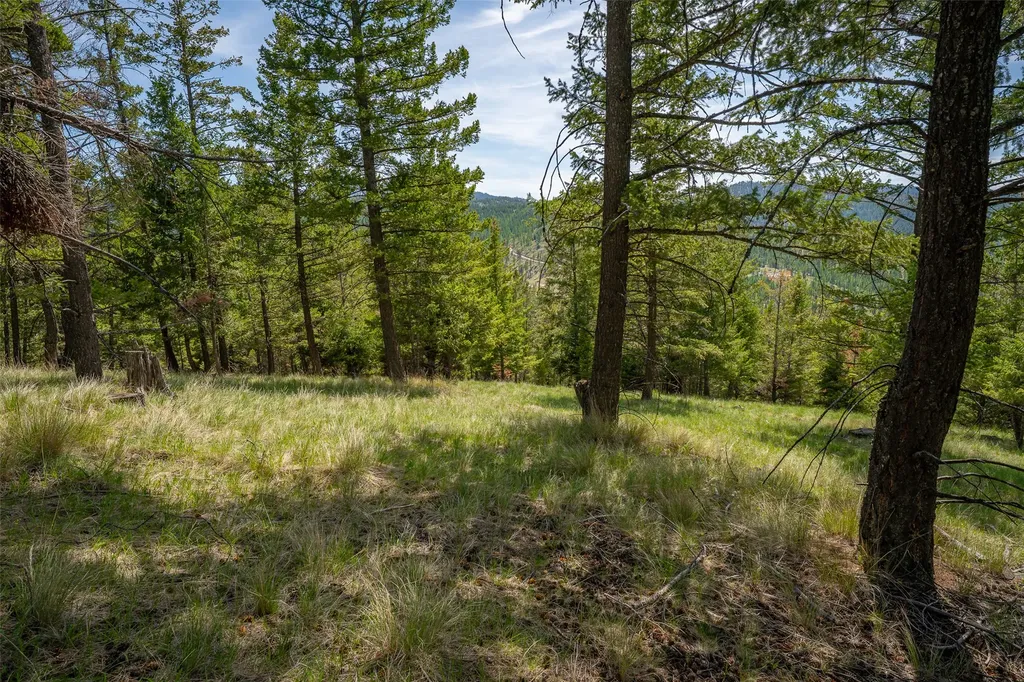 689 Springhill Road Kila MT 59920