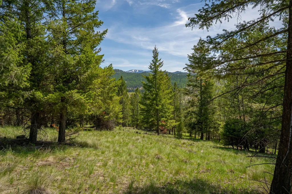 689 Springhill Road Kila MT 59920