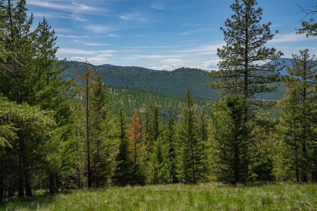 689 Springhill Road Kila MT 59920
