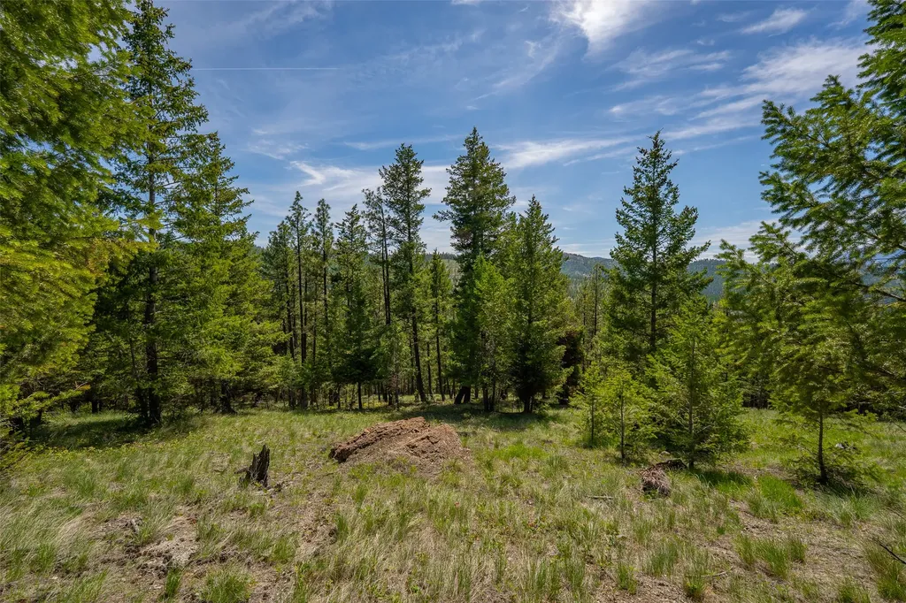 689 Springhill Road Kila MT 59920