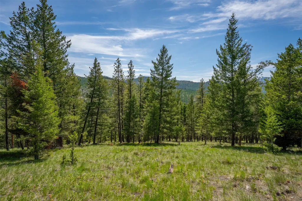689 Springhill Road Kila MT 59920