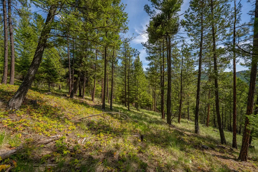 689 Springhill Road Kila MT 59920