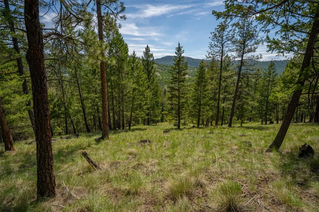 689 Springhill Road Kila MT 59920