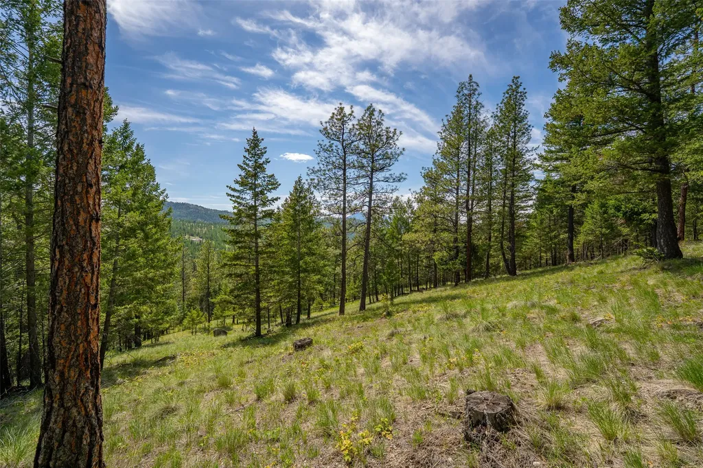 689 Springhill Road Kila MT 59920
