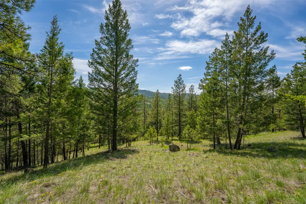 689 Springhill Road Kila MT 59920