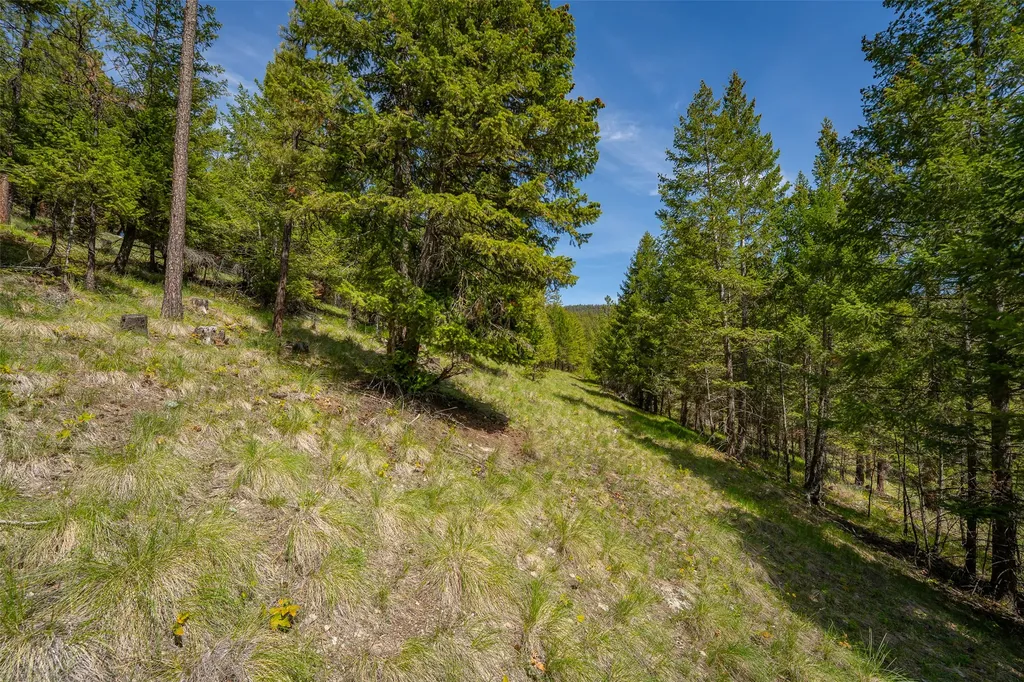 689 Springhill Road Kila MT 59920