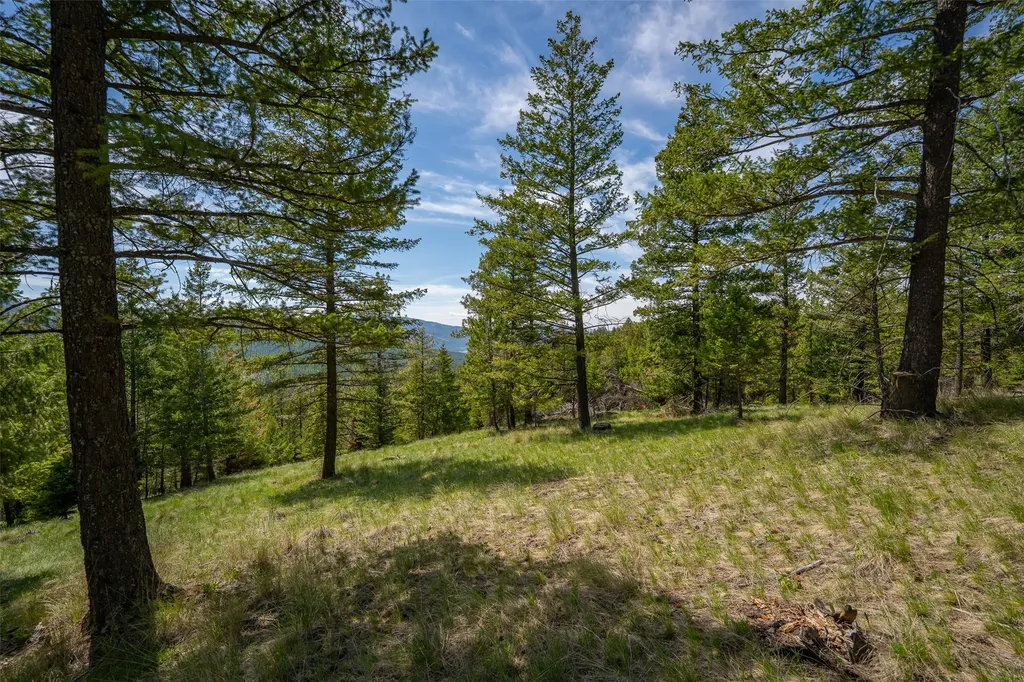 689 Springhill Road Kila MT 59920