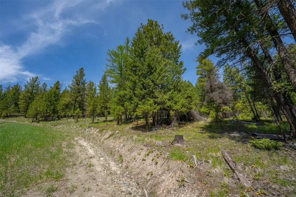 689 Springhill Road Kila MT 59920