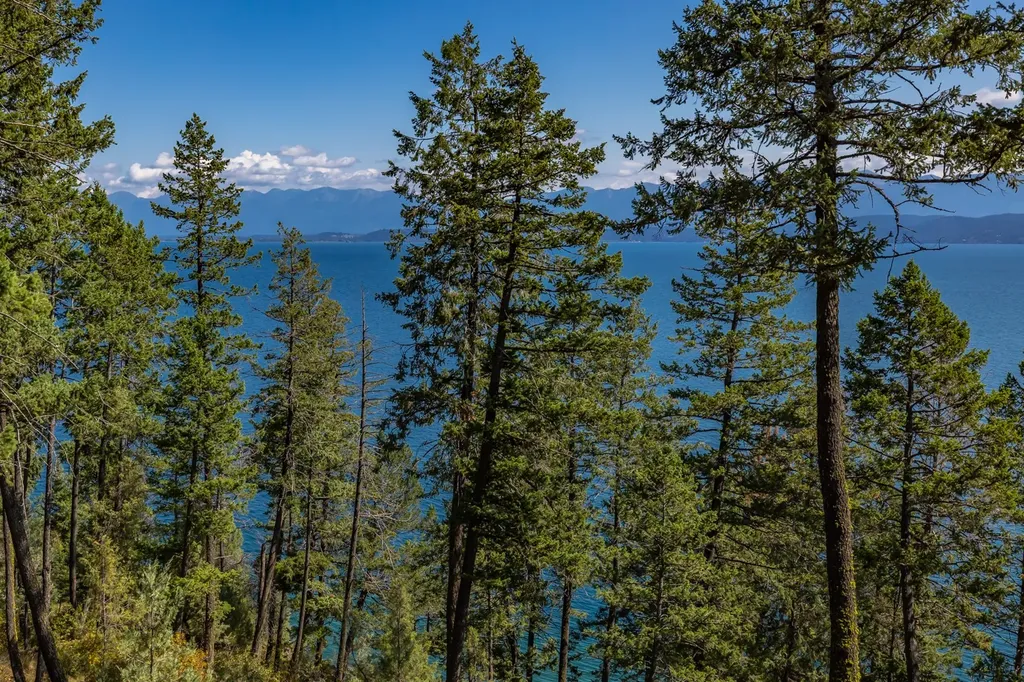 705 Angel Point Road Lakeside MT 59922