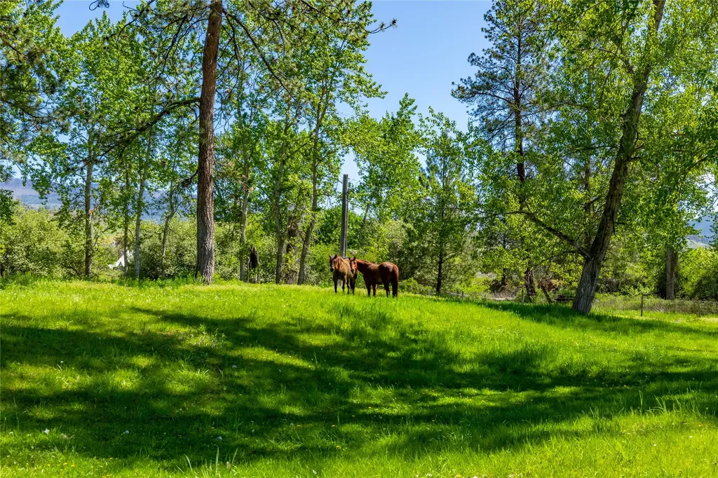 1003 4th Avenue Plains MT 59859