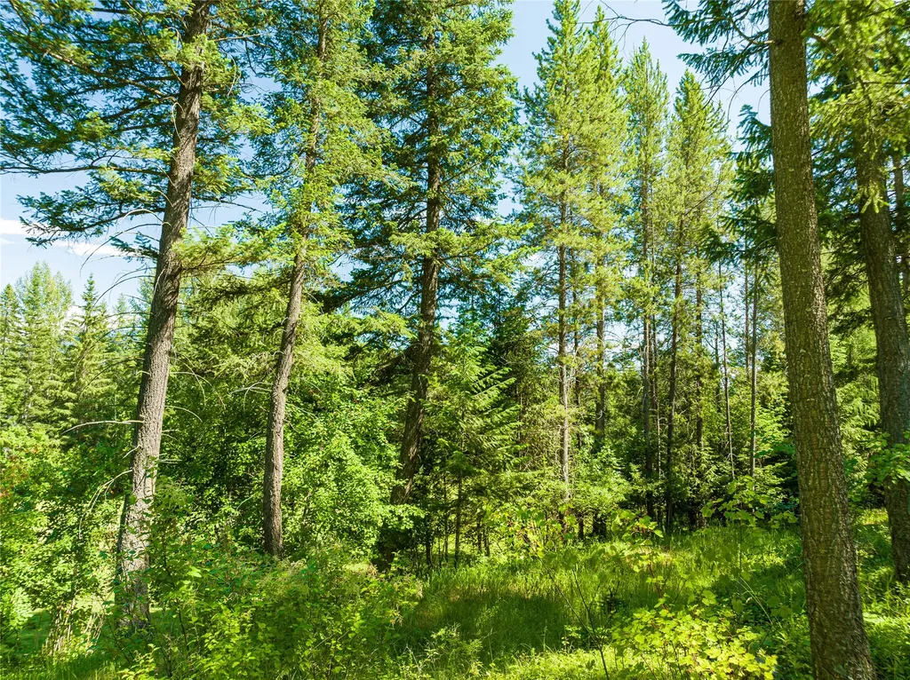 253 Gleneagles Trail Columbia Falls MT 59912