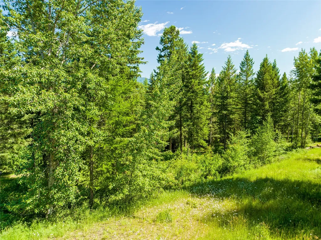 253 Gleneagles Trail Columbia Falls MT 59912