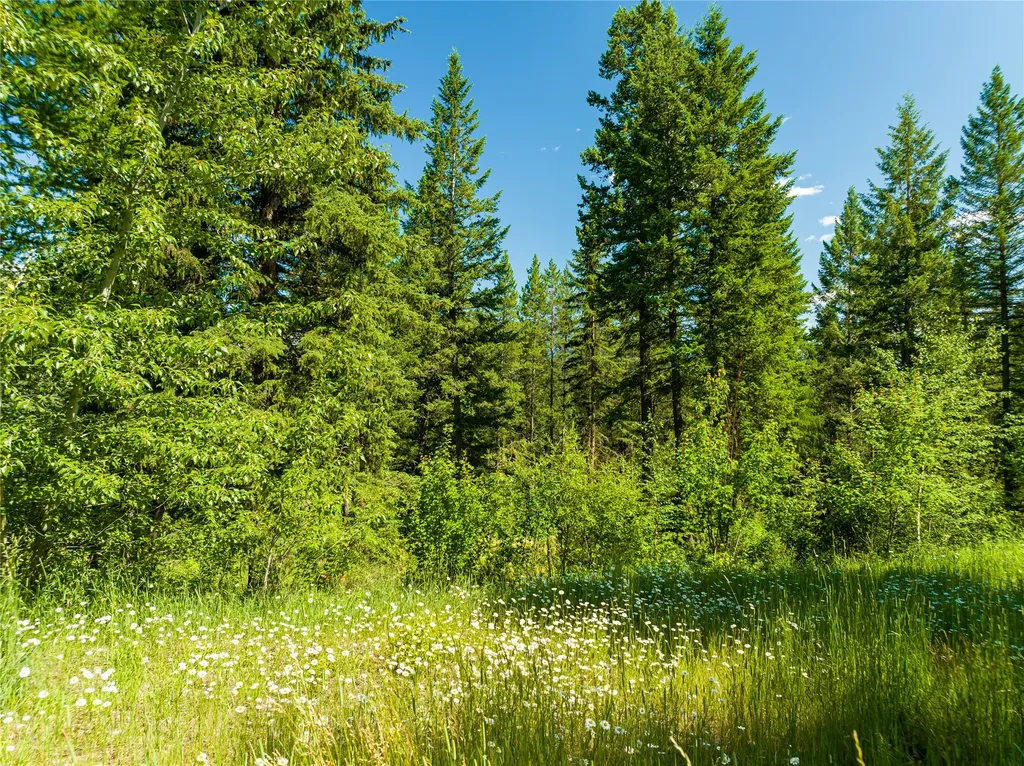 253 Gleneagles Trail Columbia Falls MT 59912