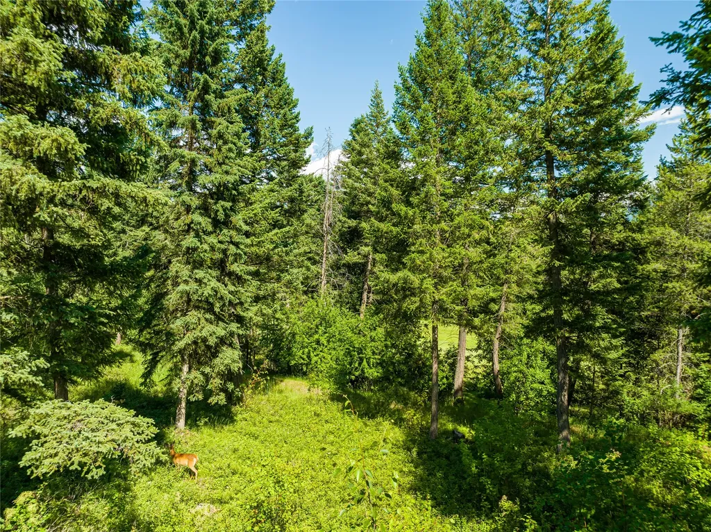 253 Gleneagles Trail Columbia Falls MT 59912