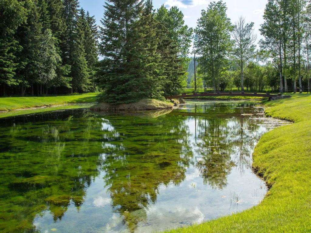 405 Delrey Road Whitefish MT 59937
