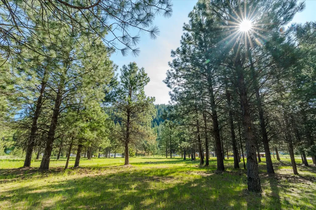74 Hawkeye Lane Troy MT 59935