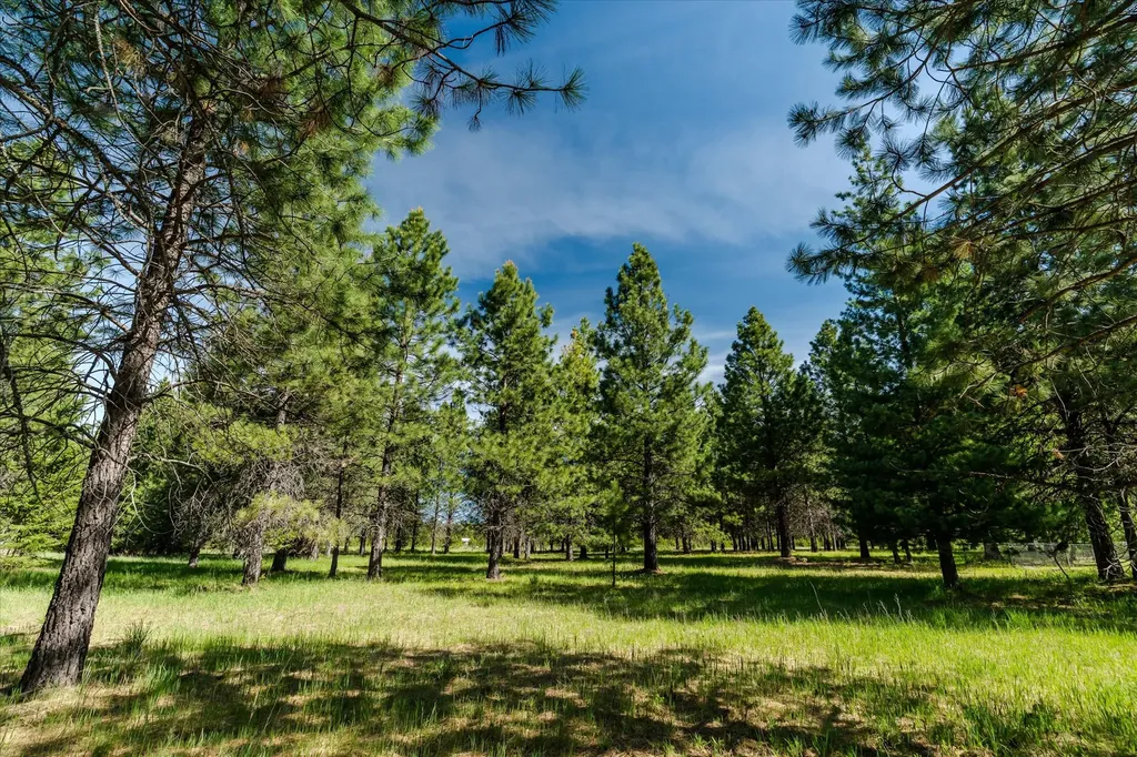 74 Hawkeye Lane Troy MT 59935