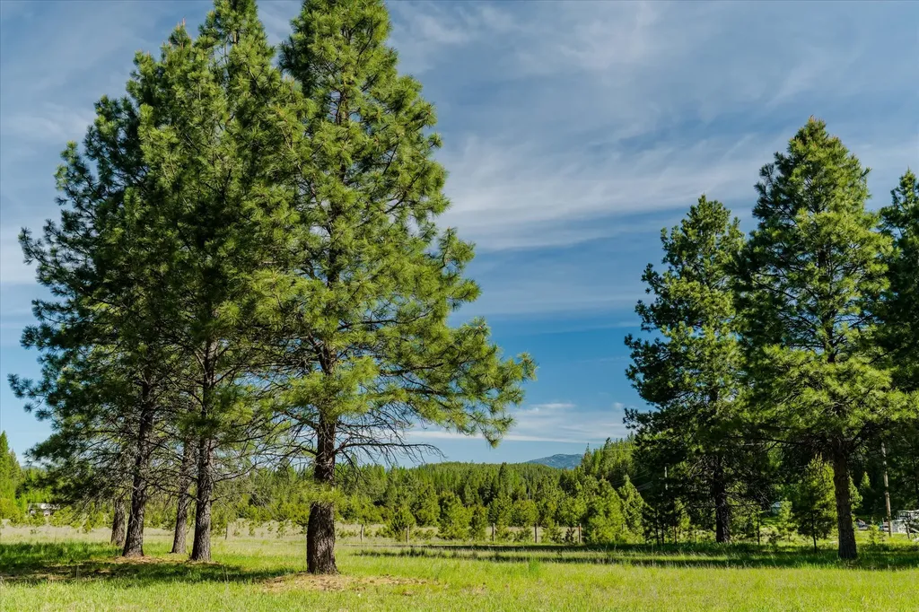 74 Hawkeye Lane Troy MT 59935