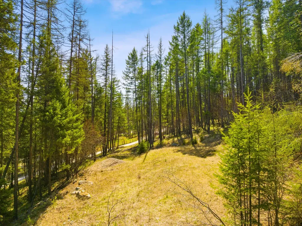 620 & 676 Leksand Trail Whitefish MT 59937