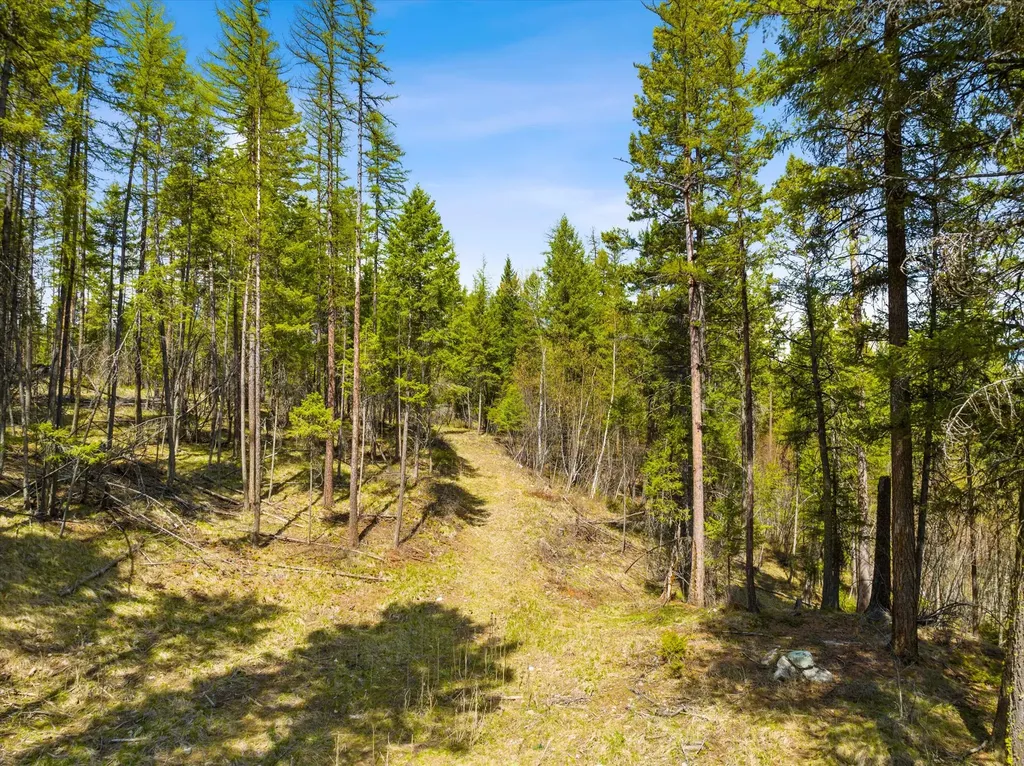 620 & 676 Leksand Trail Whitefish MT 59937