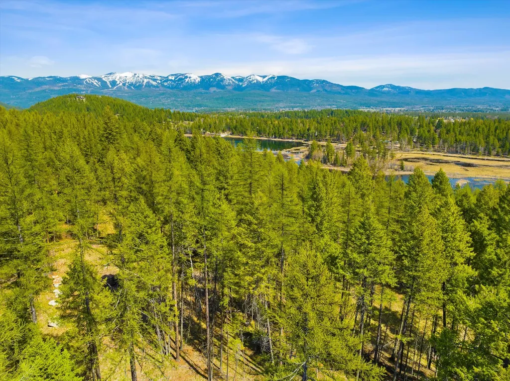 620 & 676 Leksand Trail Whitefish MT 59937