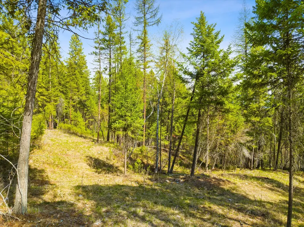 620 & 676 Leksand Trail Whitefish MT 59937