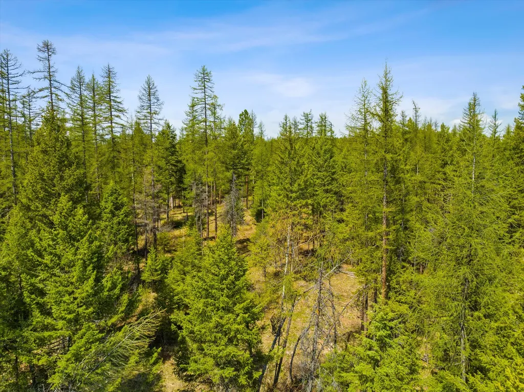 620 & 676 Leksand Trail Whitefish MT 59937