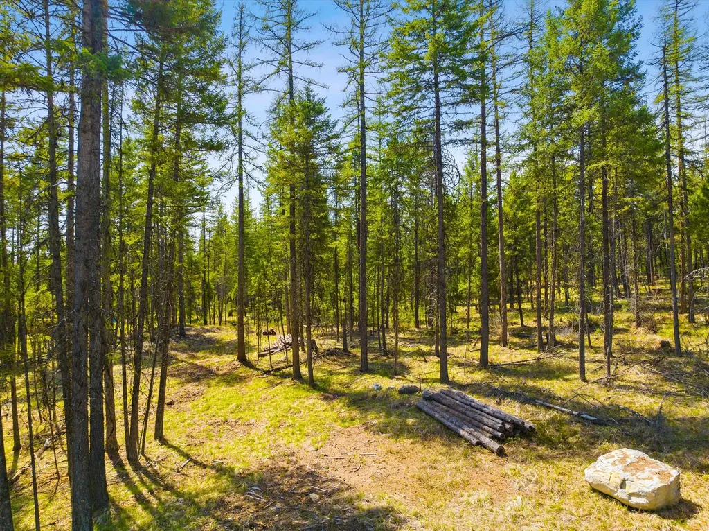 620 & 676 Leksand Trail Whitefish MT 59937
