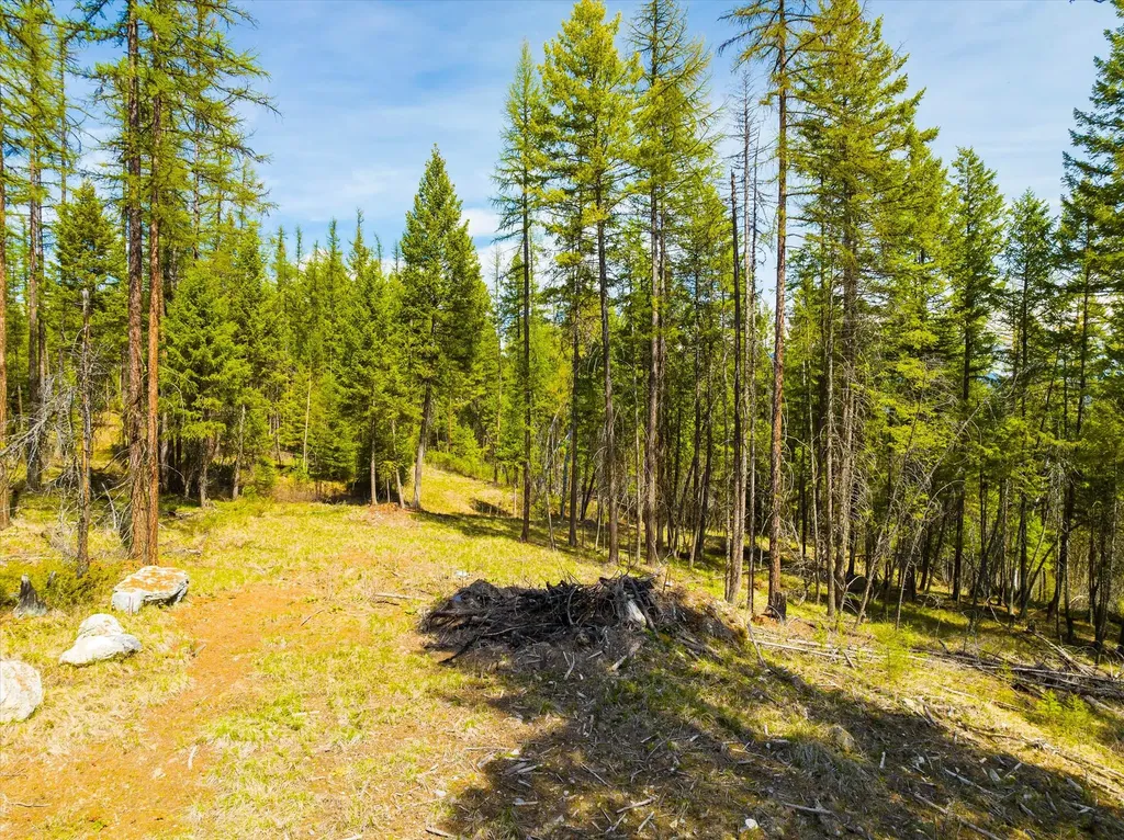 620 & 676 Leksand Trail Whitefish MT 59937