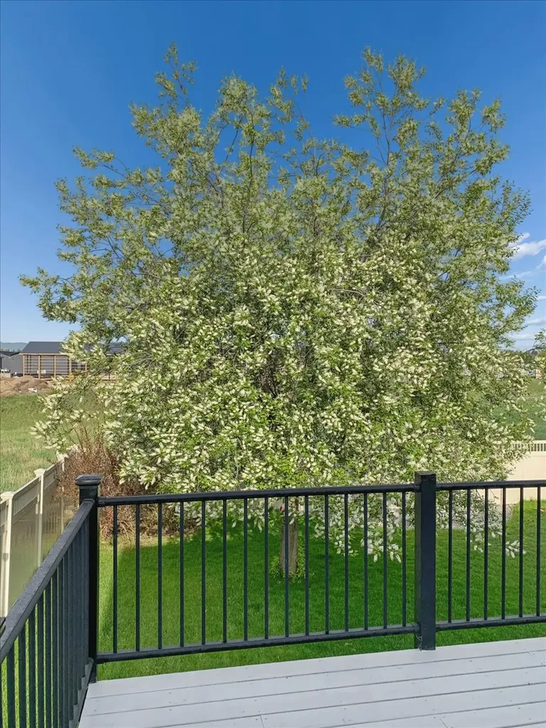 142 Weimar Way Kalispell MT 59901