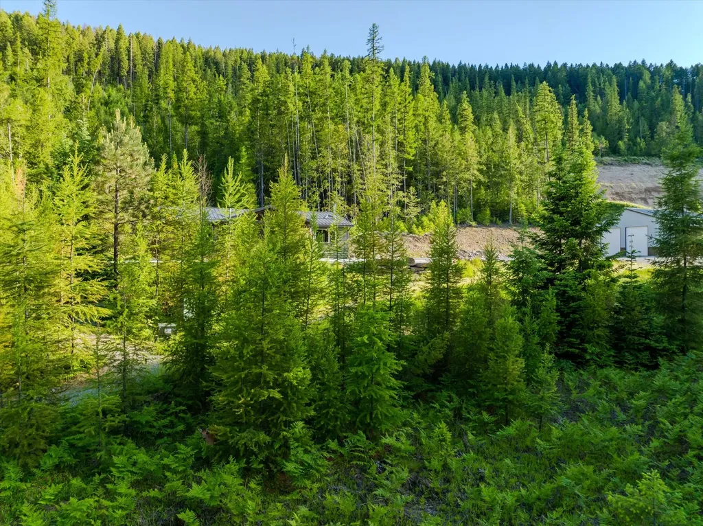58 Ridge Loop Road Trout Creek MT 59874