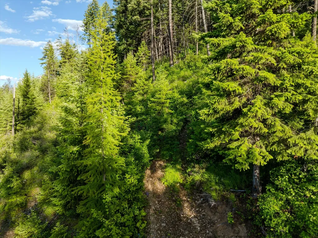 58 Ridge Loop Road Trout Creek MT 59874