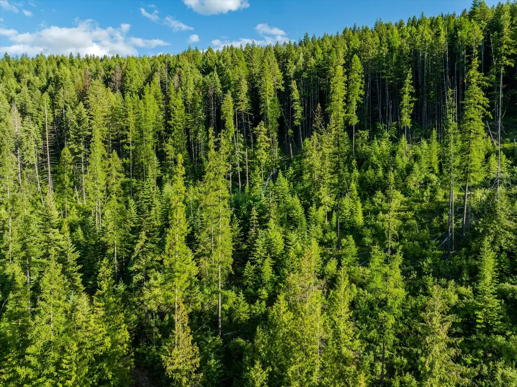 58 Ridge Loop Road Trout Creek MT 59874