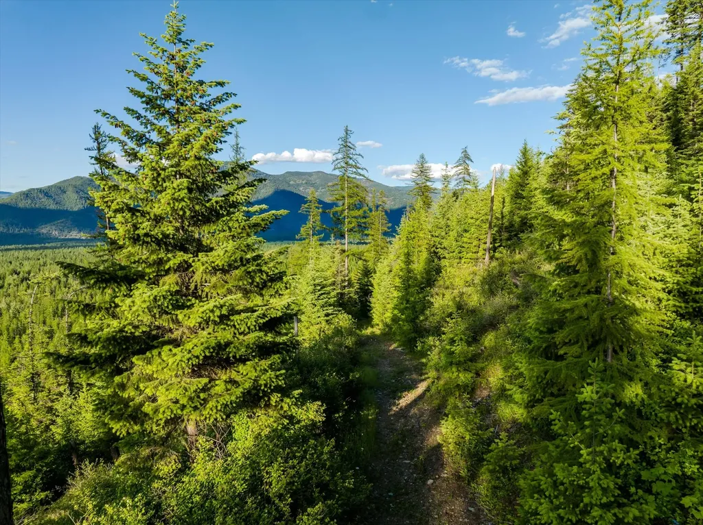 58 Ridge Loop Road Trout Creek MT 59874
