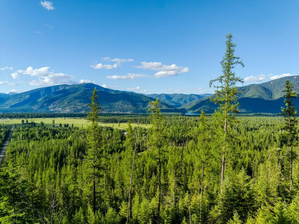 58 Ridge Loop Road Trout Creek MT 59874