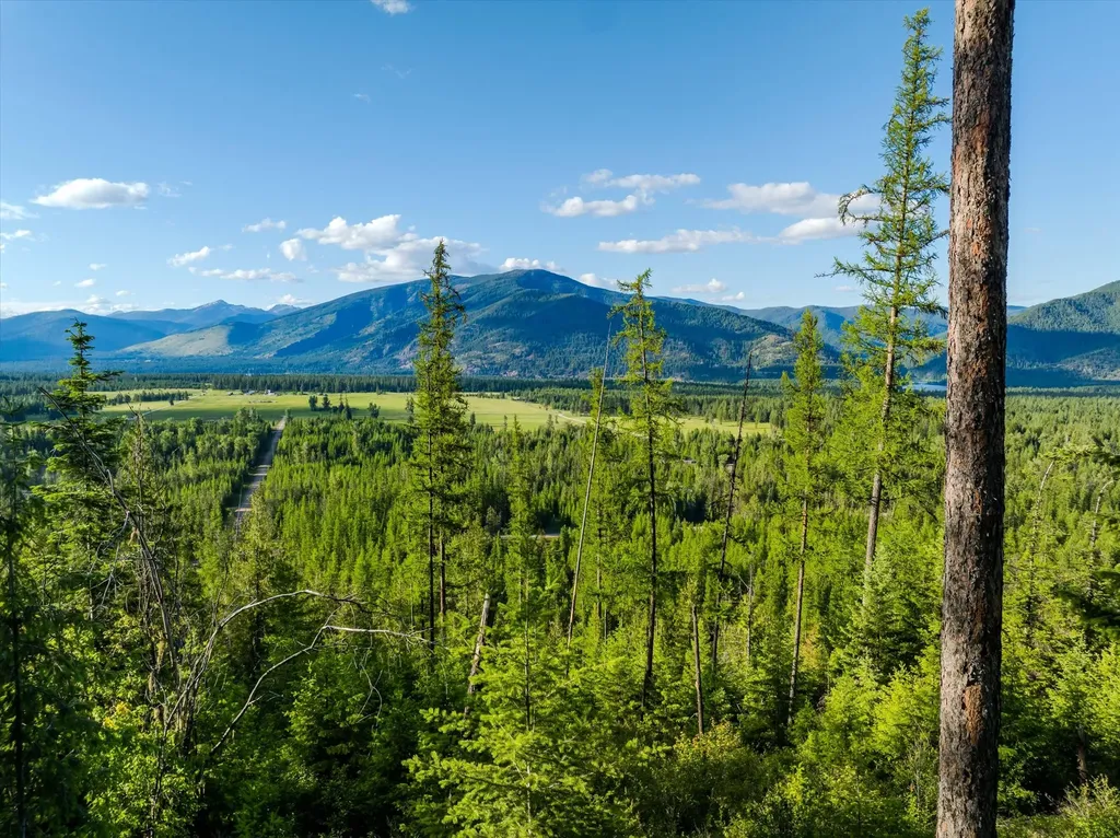 58 Ridge Loop Road Trout Creek MT 59874