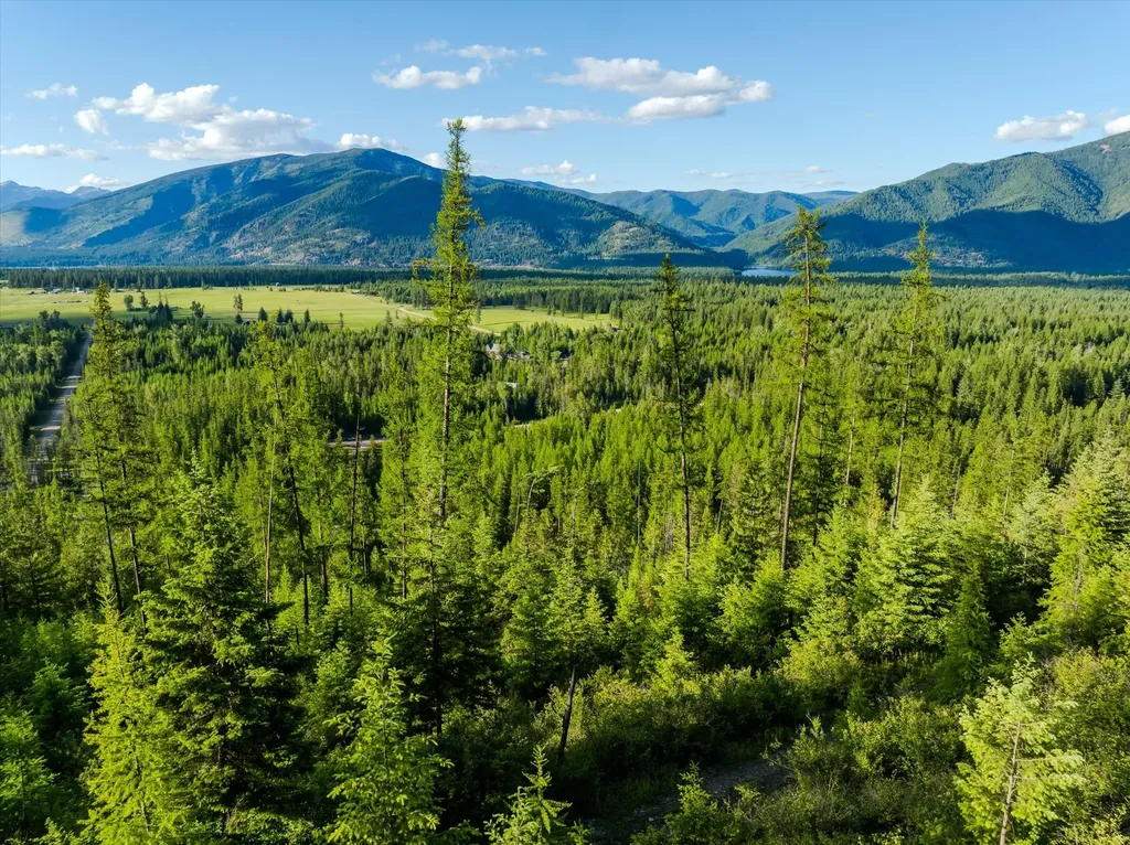 58 Ridge Loop Road Trout Creek MT 59874
