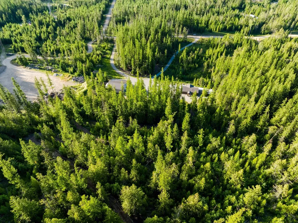 58 Ridge Loop Road Trout Creek MT 59874