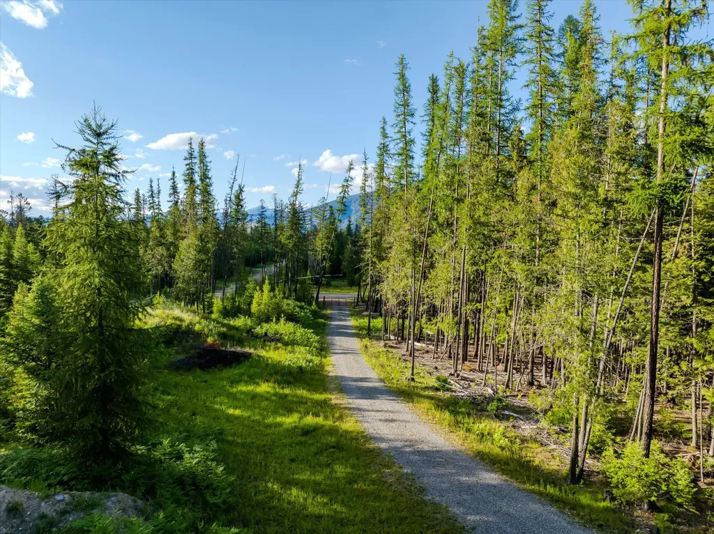 58 Ridge Loop Road Trout Creek MT 59874