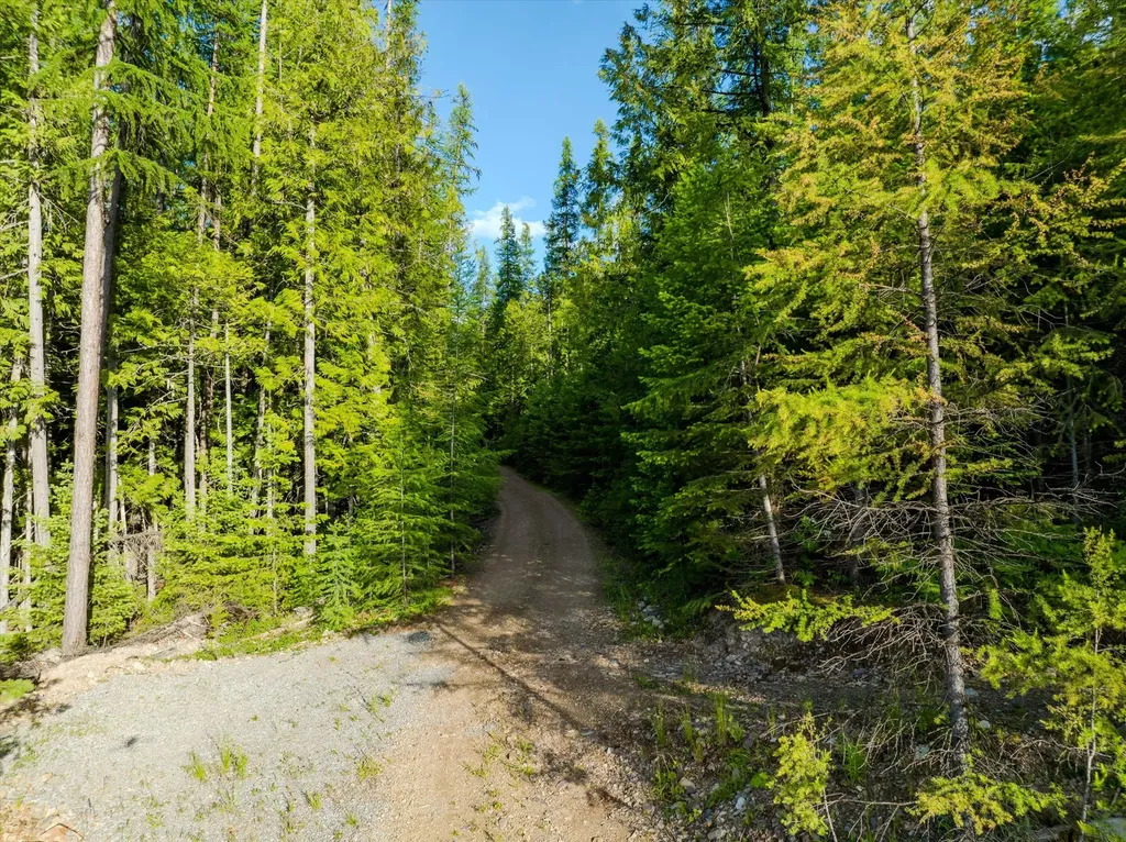 58 Ridge Loop Road Trout Creek MT 59874