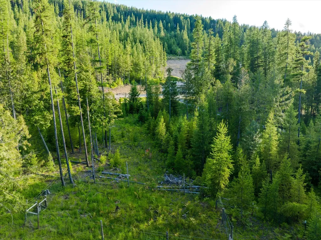 58 Ridge Loop Road Trout Creek MT 59874
