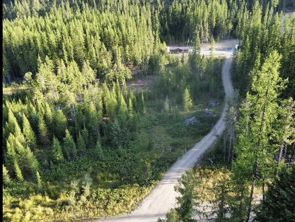 58 Ridge Loop Road Trout Creek MT 59874