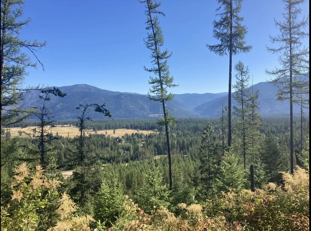 58 Ridge Loop Road Trout Creek MT 59874