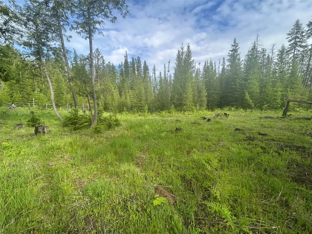 58 Ridge Loop Road Trout Creek MT 59874