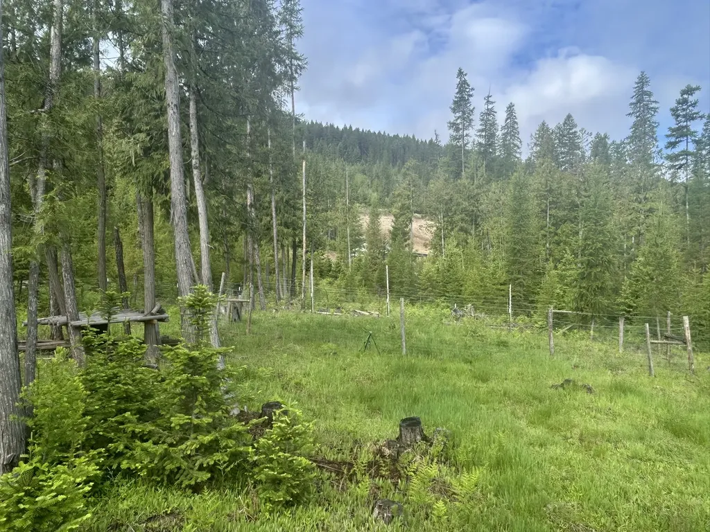 58 Ridge Loop Road Trout Creek MT 59874