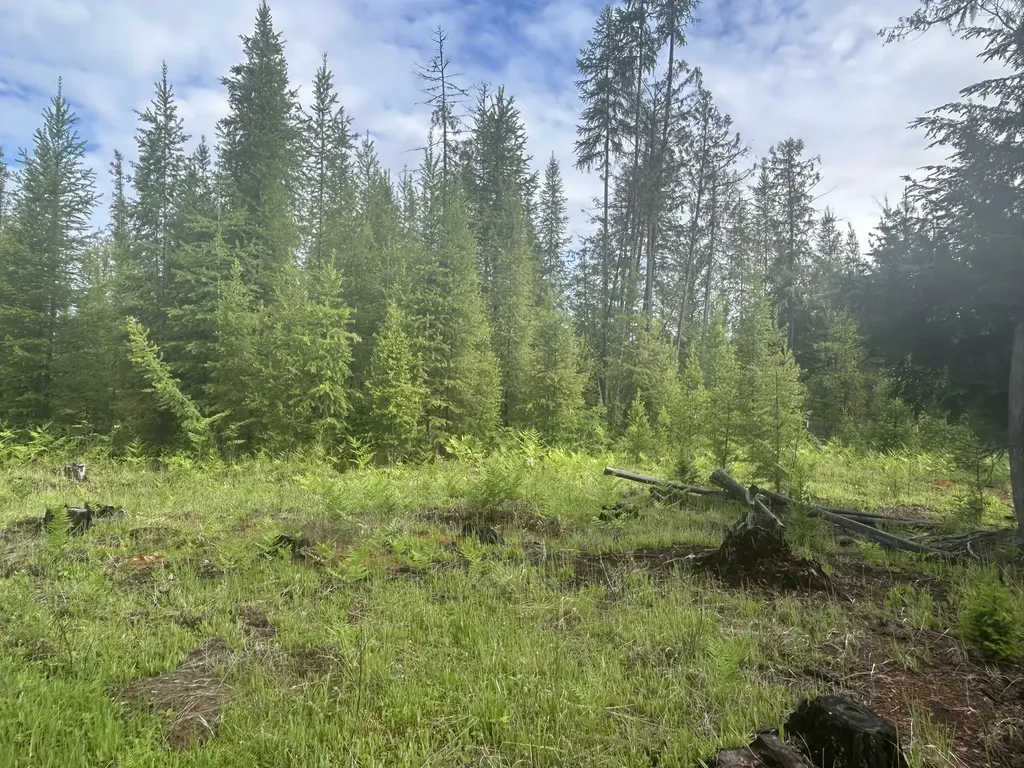 58 Ridge Loop Road Trout Creek MT 59874