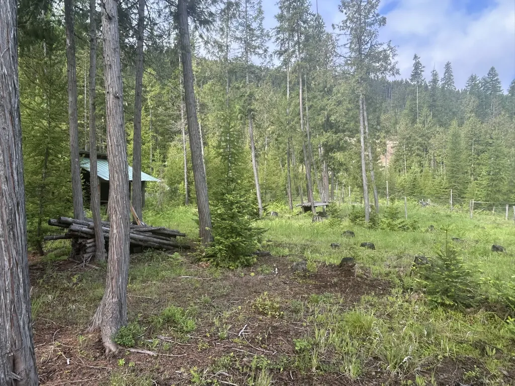 58 Ridge Loop Road Trout Creek MT 59874