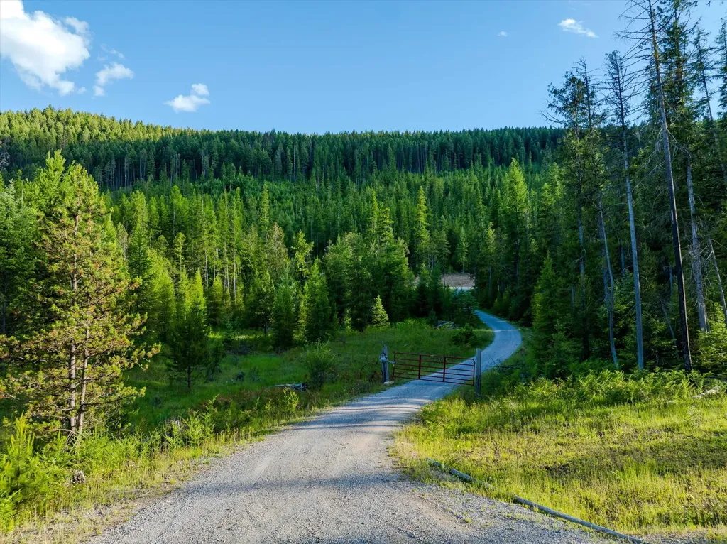 58 Ridge Loop Road Trout Creek MT 59874