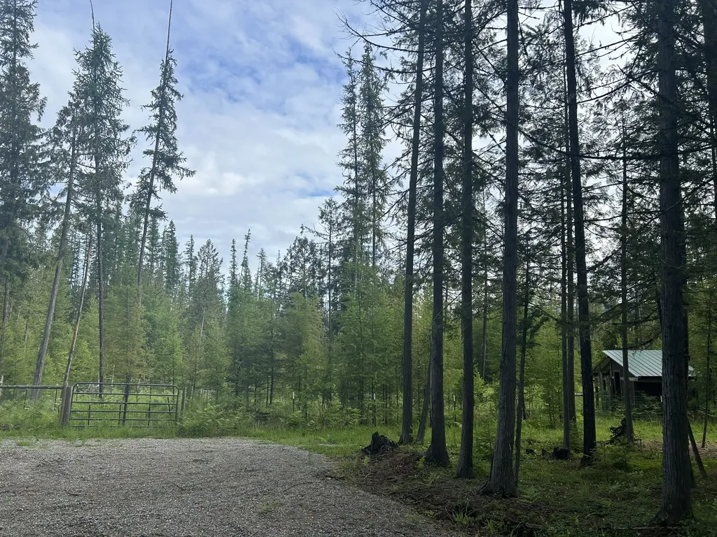 58 Ridge Loop Road Trout Creek MT 59874